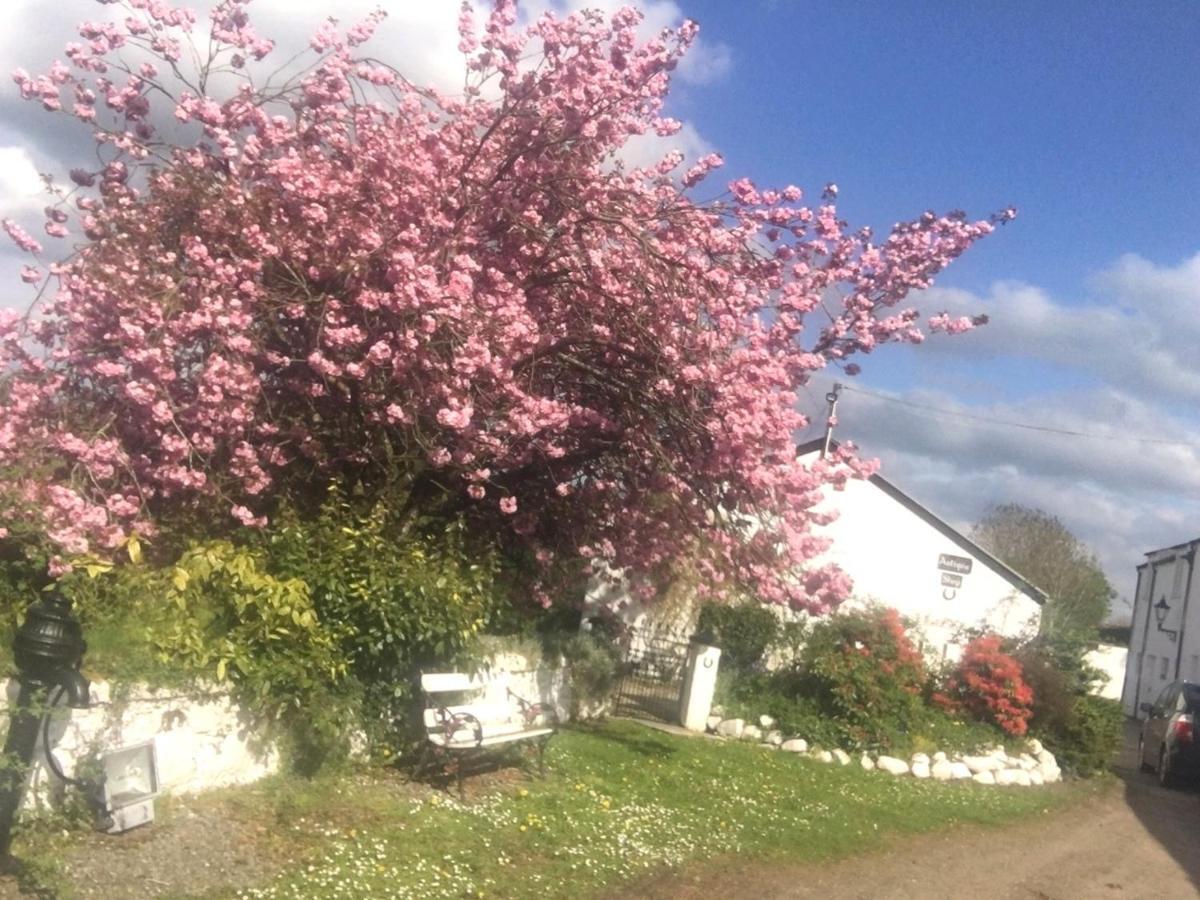 Kingsmills Cottages Artrea Екстериор снимка